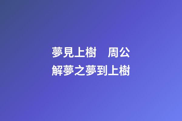 夢見上樹　周公解夢之夢到上樹